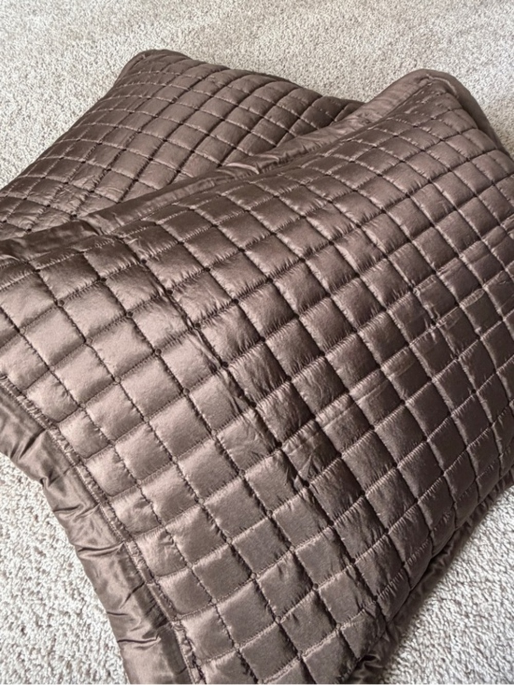 Restoration Hardware 2 100% Silk Quilt Pillow Shams Standard/Queen NWOT